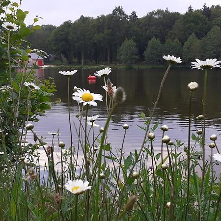 Gite La Lisiere, En Broceliande Neant-sur-Yvel Ngoại thất bức ảnh