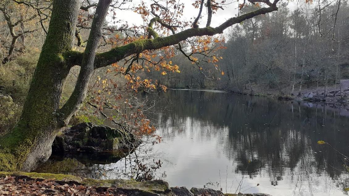 Gite La Lisiere, En Broceliande Neant-sur-Yvel Ngoại thất bức ảnh
