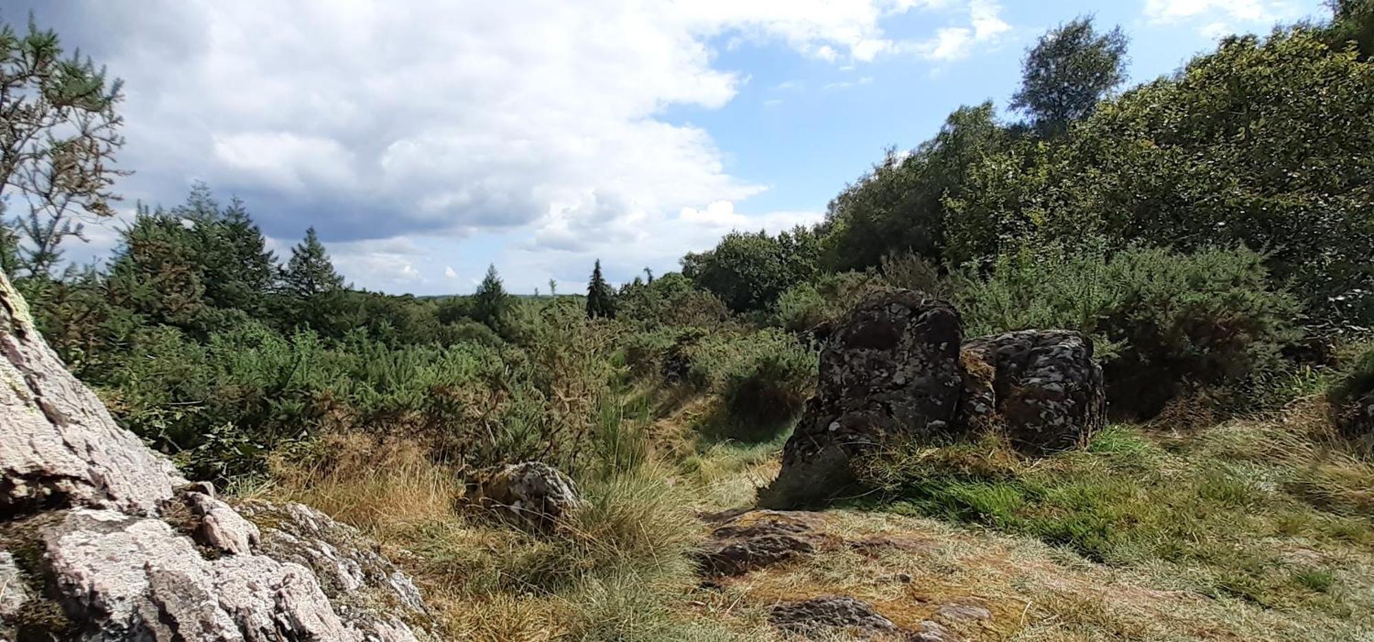 Gite La Lisiere, En Broceliande Neant-sur-Yvel Ngoại thất bức ảnh