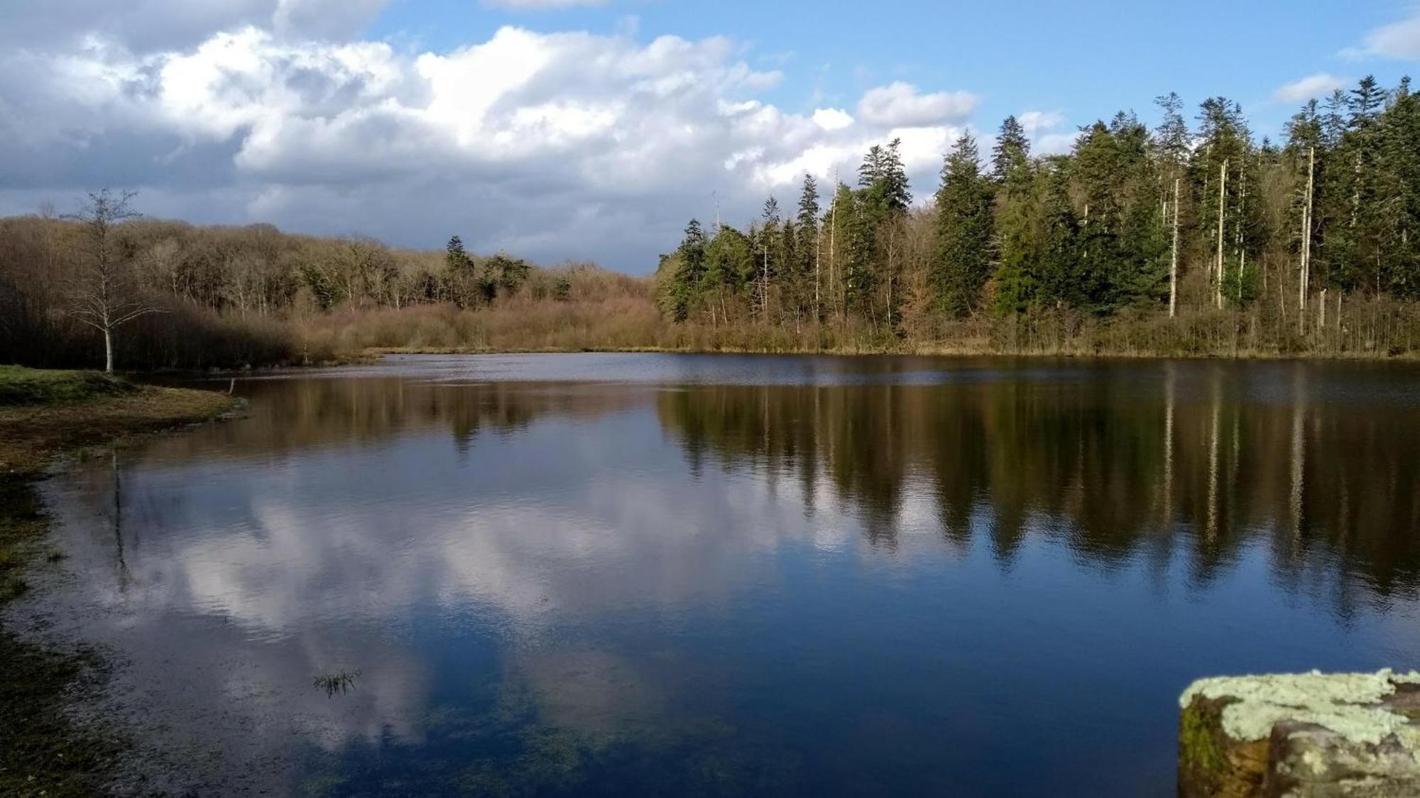 Gite La Lisiere, En Broceliande Neant-sur-Yvel Ngoại thất bức ảnh