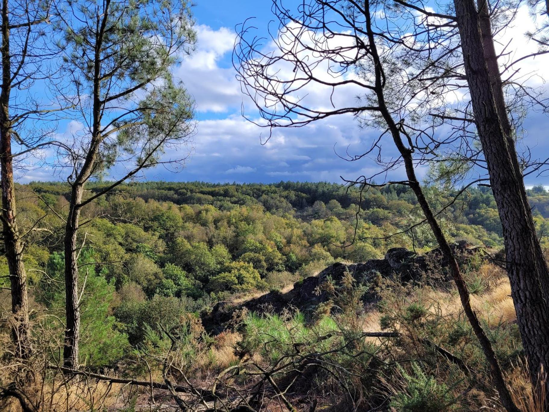 Gite La Lisiere, En Broceliande Neant-sur-Yvel Ngoại thất bức ảnh