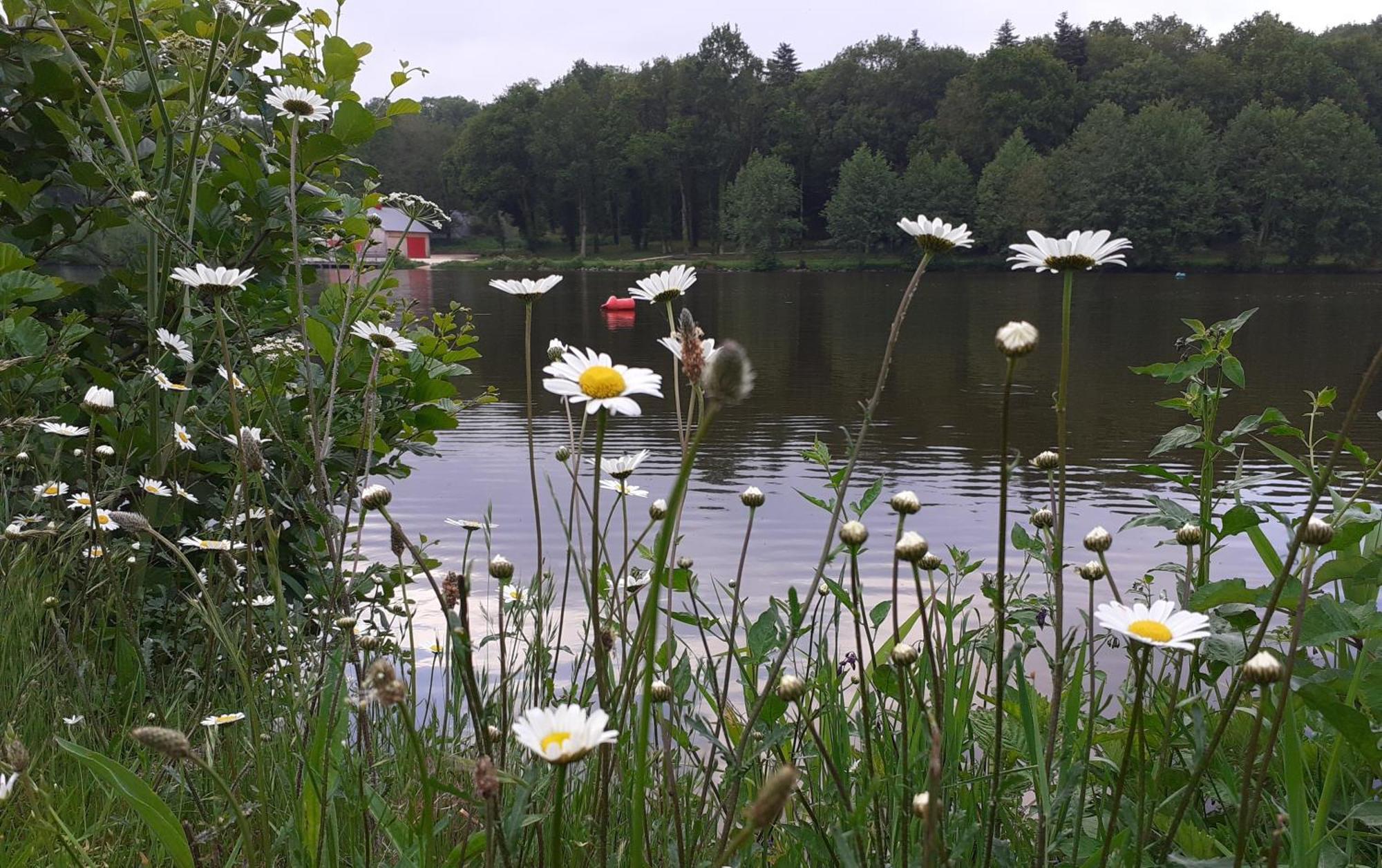 Gite La Lisiere, En Broceliande Neant-sur-Yvel Ngoại thất bức ảnh