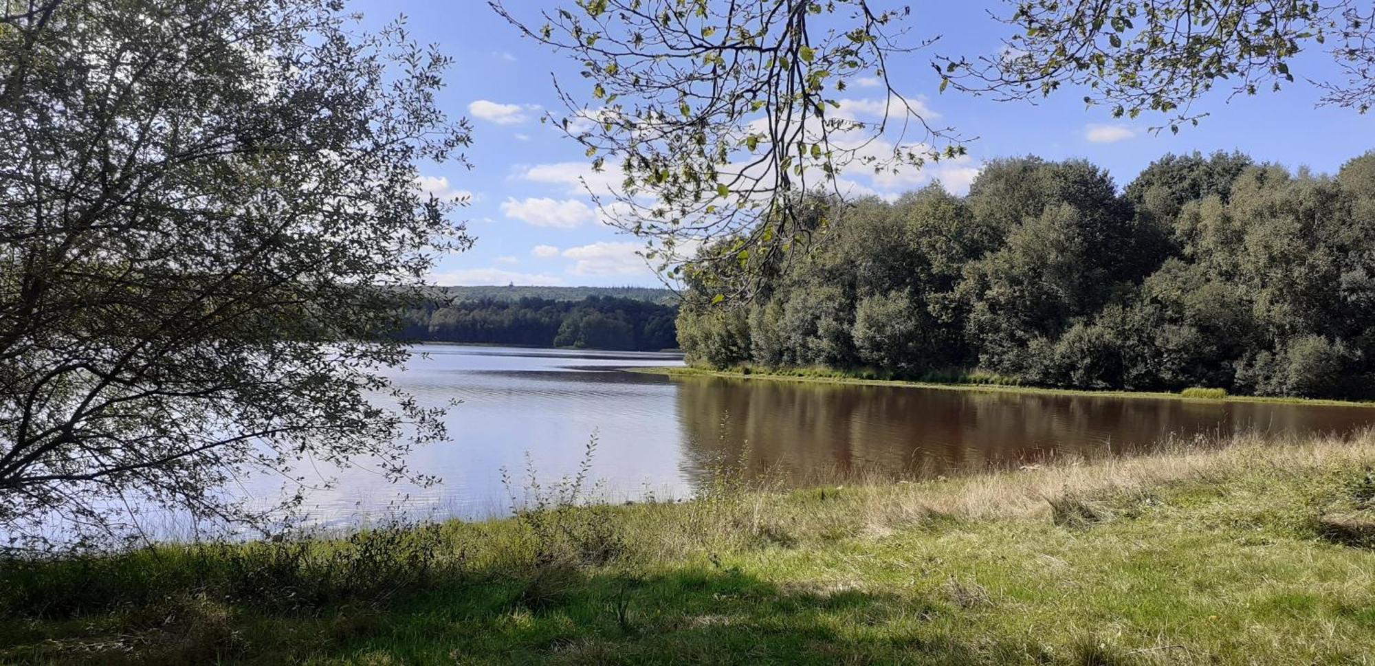 Gite La Lisiere, En Broceliande Neant-sur-Yvel Ngoại thất bức ảnh