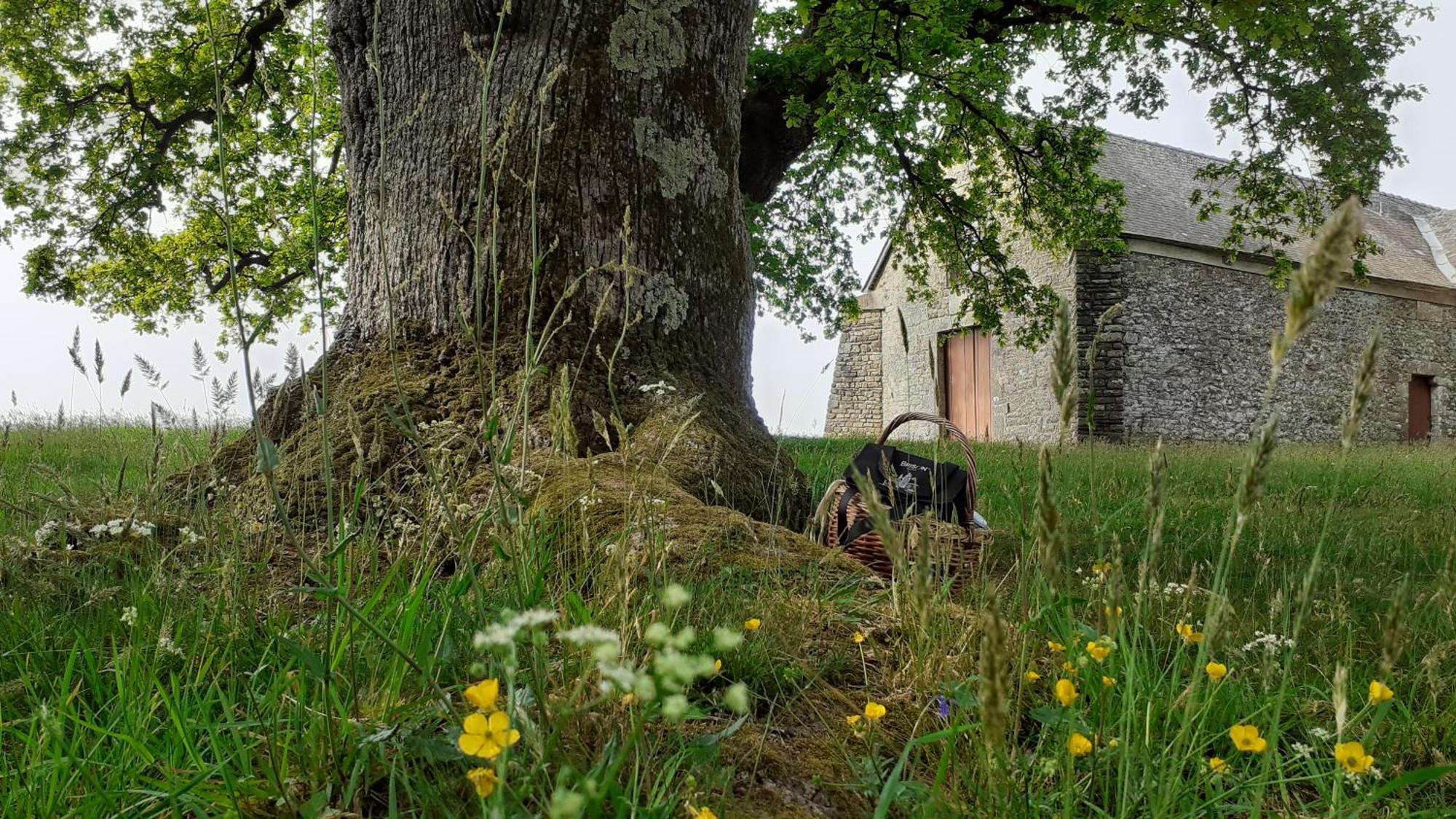 Gite La Lisiere, En Broceliande Neant-sur-Yvel Ngoại thất bức ảnh