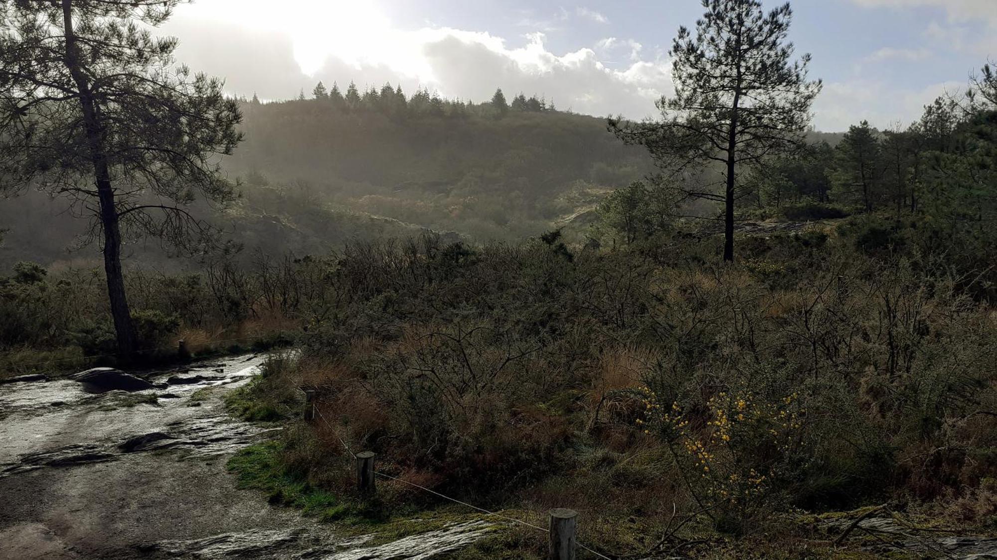 Gite La Lisiere, En Broceliande Neant-sur-Yvel Ngoại thất bức ảnh